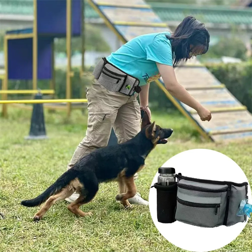 Outdoor Training Waist Bag with Detachable Doggy Training Treat Bag Reflective Waist Pack for Pet Walking, Running Leash Storage