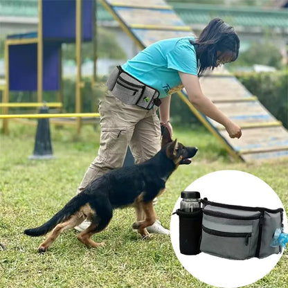 Outdoor Training Waist Bag with Detachable Doggy Training Treat Bag Reflective Waist Pack for Pet Walking, Running Leash Storage