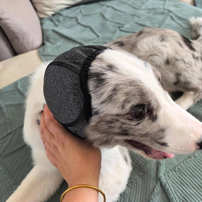 Adjustable Cat and Dog Pet Earmuffs, Noise-Reducing Ear Protectors, Anxiety-Relieving and Calming Headgear, Suitable for Fireworks, Thunder, Grooming, Bathing, Pet Supplies