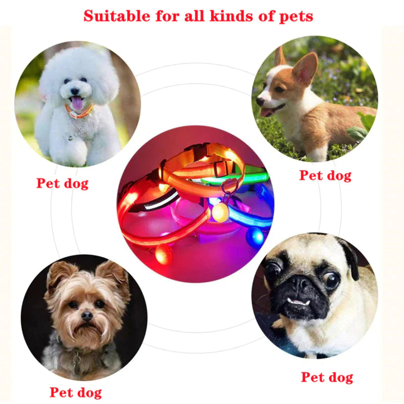 Glow & Go LED Adjustable Dog Collar - Waterproof, Flashing Safety Light for Pets