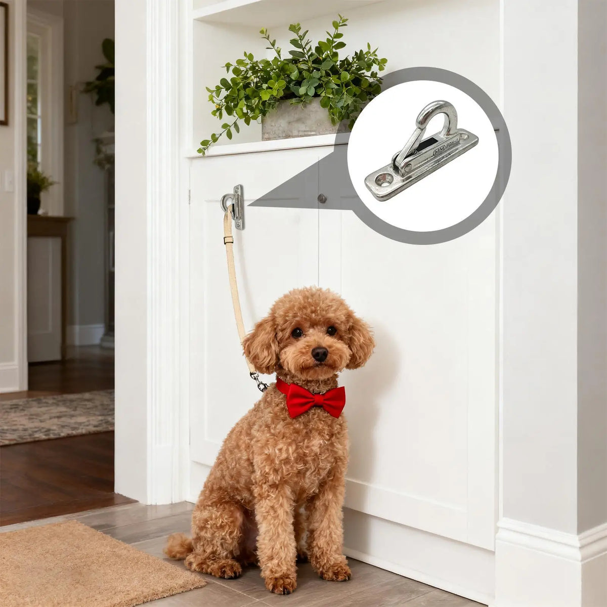 Heavy Duty Stainless Steel Dog Leash Holder Wall Mounted Secure Indoor Outdoor Use Enclosed Pet Tie Out Hook Easy Install