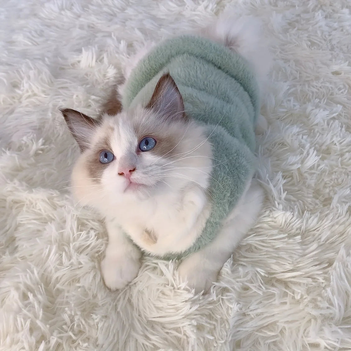 Cats Accessories Pets Warm Kittens Clothes for Winter Kitten Small Kitten Stuff Apparels Cooling Clothing Dog´S Sweater Vests