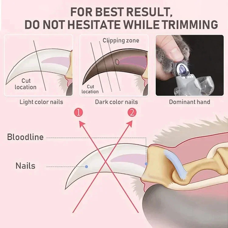 LED Pet Nail Clippers for Dogs & Cats, Professional Safe Pet Claw Cutter with LED Light to Avoid Quick, Sharp Blade Pet Grooming