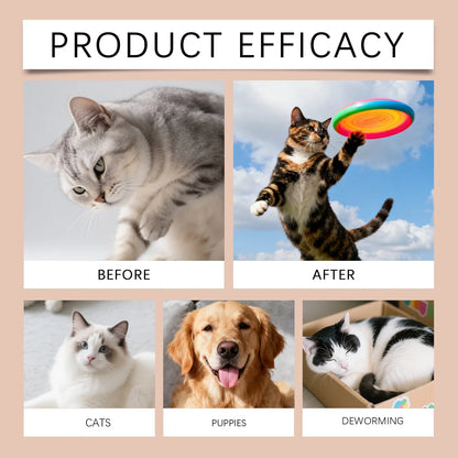 Dogs Cats Dewormer Drops Natural Deworming Supplement Intestinal Parasite Control Protect Repel Dual Effect Pet Dewormer Liquid