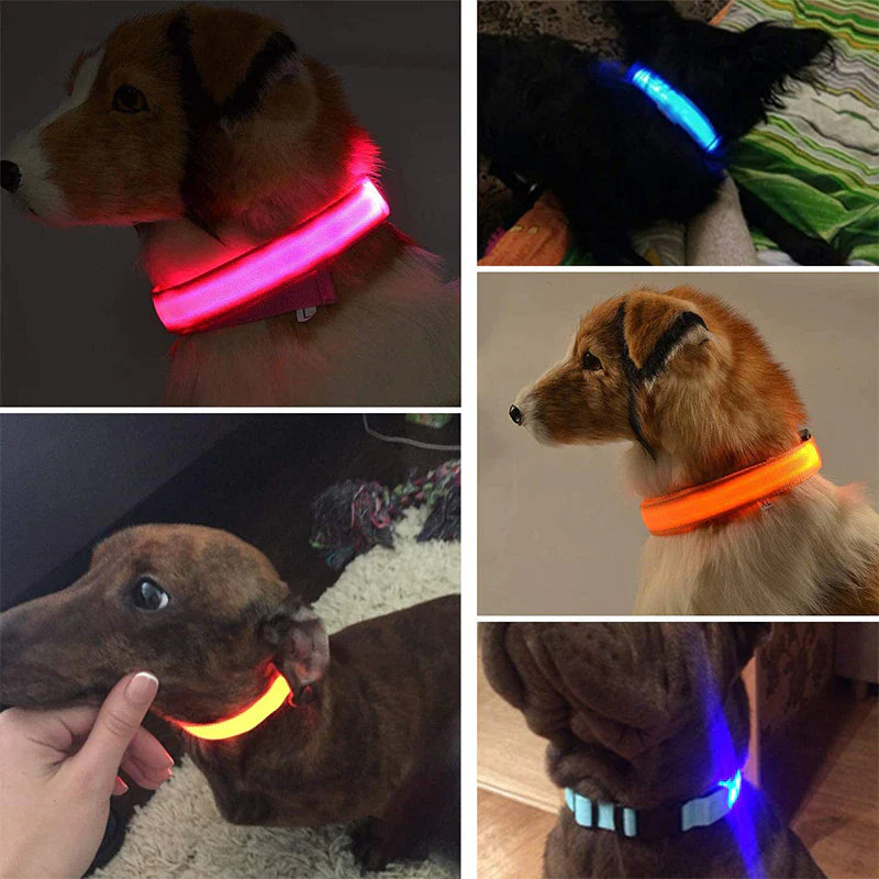 Glow & Go LED Adjustable Dog Collar - Waterproof, Flashing Safety Light for Pets