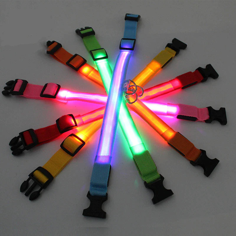 Glow & Go LED Adjustable Dog Collar - Waterproof, Flashing Safety Light for Pets