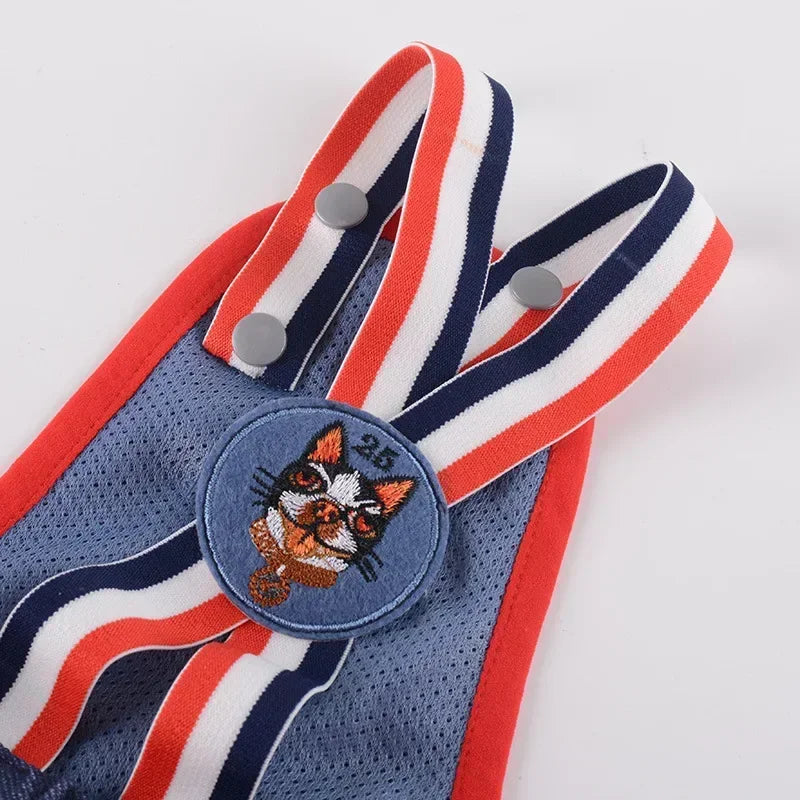 Female Dog Sanitary Panties Breathable Strap Type Reusable Washable Pet Diaper Shorts Summer Thin Heat Period for Teddy Dogs