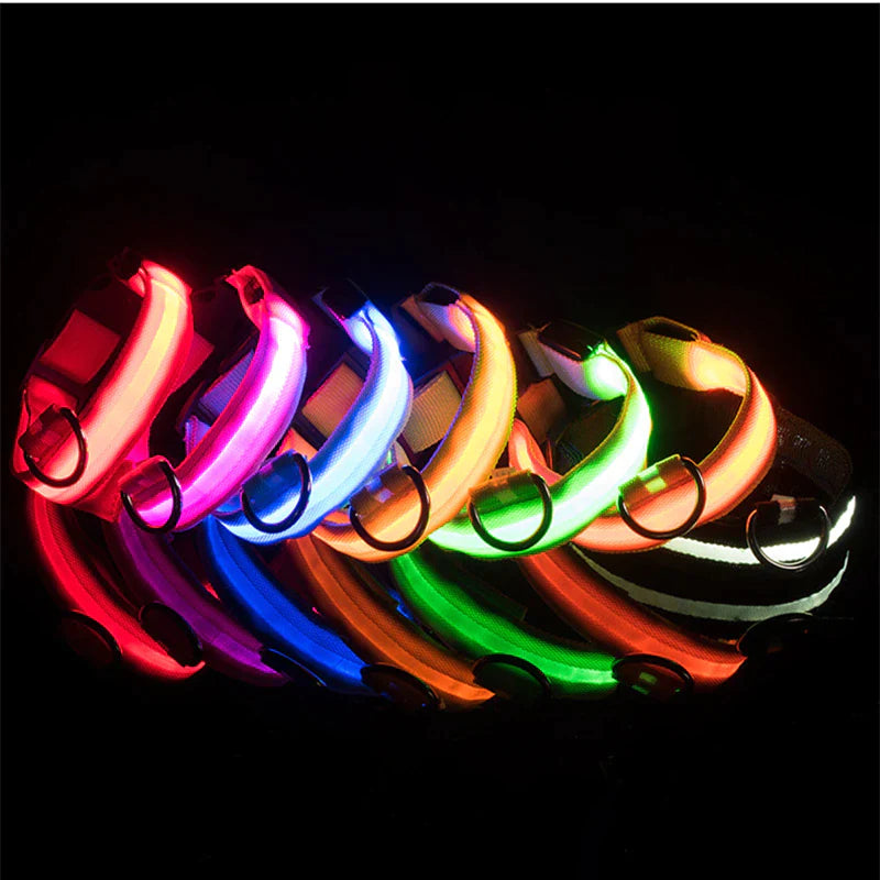Glow & Go LED Adjustable Dog Collar - Waterproof, Flashing Safety Light for Pets