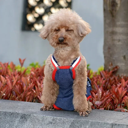 Female Dog Sanitary Panties Breathable Strap Type Reusable Washable Pet Diaper Shorts Summer Thin Heat Period for Teddy Dogs